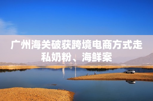 广州海关破获跨境电商方式走私奶粉、海鲜案
