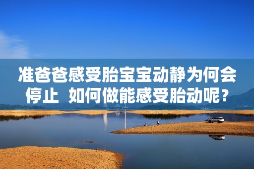 准爸爸感受胎宝宝动静为何会停止  如何做能感受胎动呢？