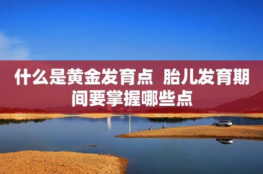 什么是黄金发育点  胎儿发育期间要掌握哪些点