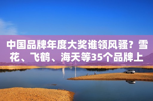 中国品牌年度大奖谁领风骚？雪花、飞鹤、海天等35个品牌上榜！