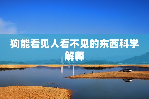 狗能看见人看不见的东西科学解释