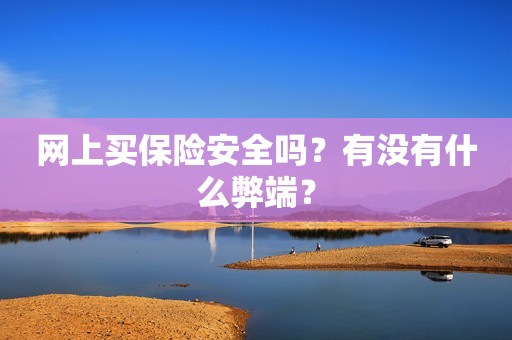 网上买保险安全吗？有没有什么弊端？