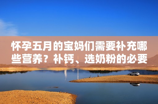 怀孕五月的宝妈们需要补充哪些营养？补钙、选奶粉的必要知识