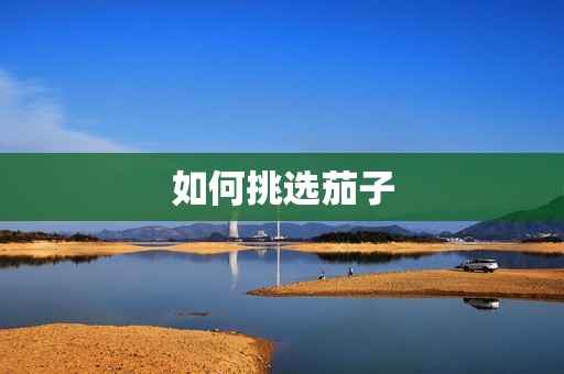 如何挑选茄子