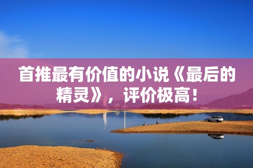 首推最有价值的小说《最后的精灵》，评价极高！