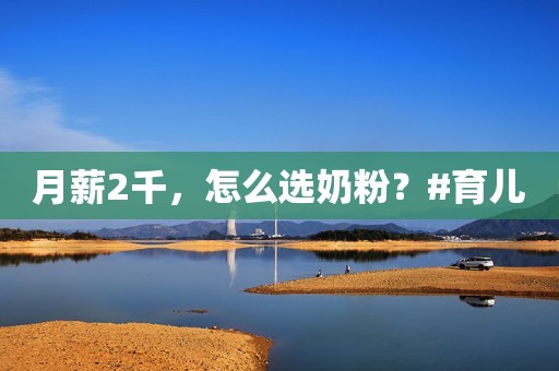 月薪2千，怎么选奶粉？#育儿
