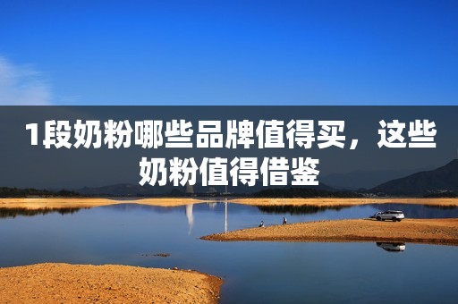 1段奶粉哪些品牌值得买，这些奶粉值得借鉴