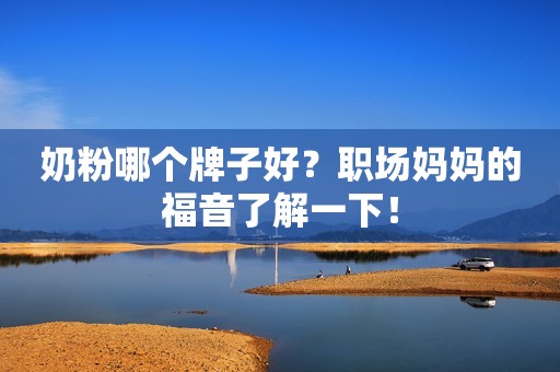 奶粉哪个牌子好？职场妈妈的福音了解一下！