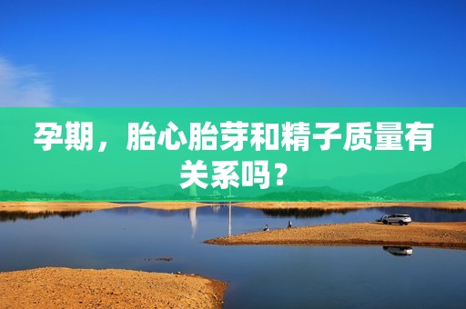 孕期，胎心胎芽和精子质量有关系吗？