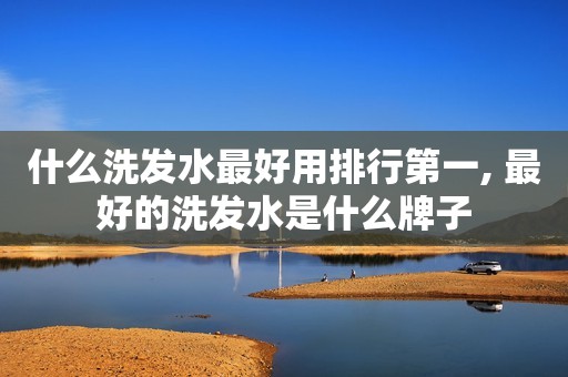 什么洗发水最好用排行第一, 最好的洗发水是什么牌子