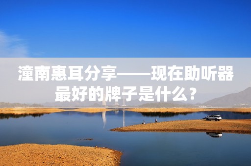 潼南惠耳分享——现在助听器最好的牌子是什么？