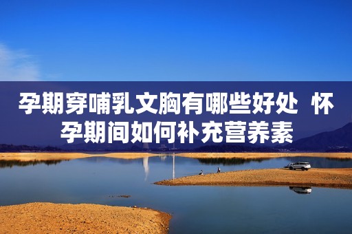 孕期穿哺乳文胸有哪些好处  怀孕期间如何补充营养素