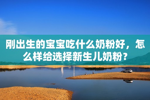 刚出生的宝宝吃什么奶粉好，怎么样给选择新生儿奶粉？
