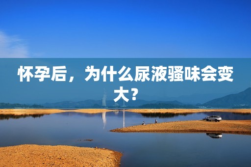 怀孕后，为什么尿液骚味会变大？