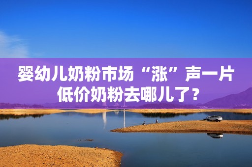 婴幼儿奶粉市场“涨”声一片 低价奶粉去哪儿了？