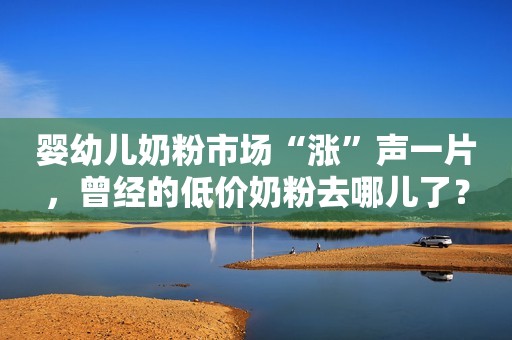 婴幼儿奶粉市场“涨”声一片，曾经的低价奶粉去哪儿了？