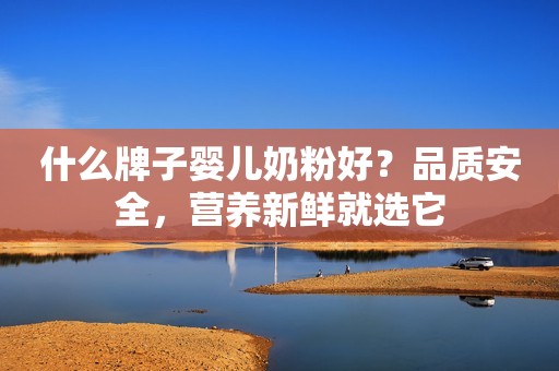 什么牌子婴儿奶粉好？品质安全，营养新鲜就选它