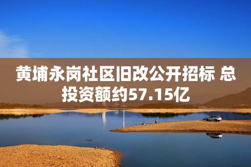 黄埔永岗社区旧改公开招标 总投资额约57.15亿