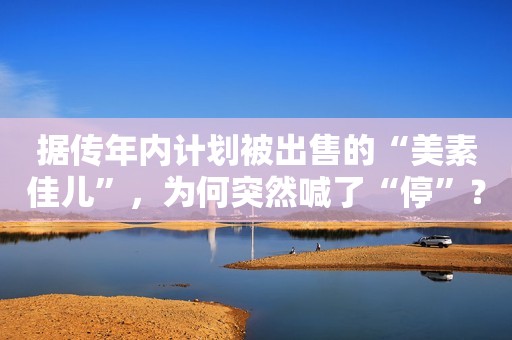据传年内计划被出售的“美素佳儿”，为何突然喊了“停”？