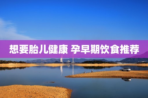 想要胎儿健康 孕早期饮食推荐