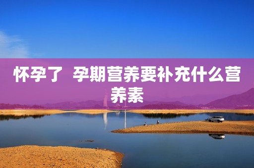 怀孕了  孕期营养要补充什么营养素