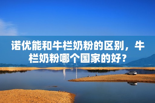 诺优能和牛栏奶粉的区别，牛栏奶粉哪个国家的好？