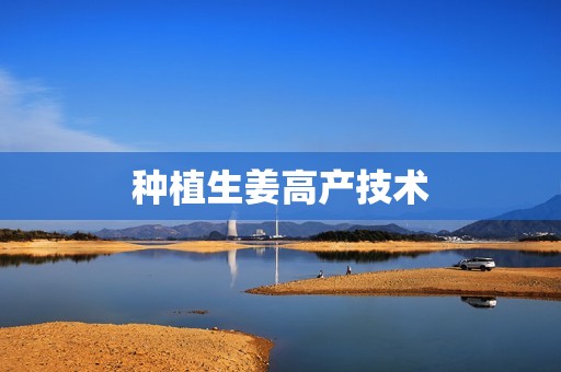 种植生姜高产技术