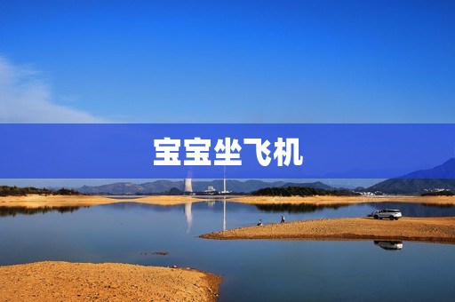 宝宝坐飞机