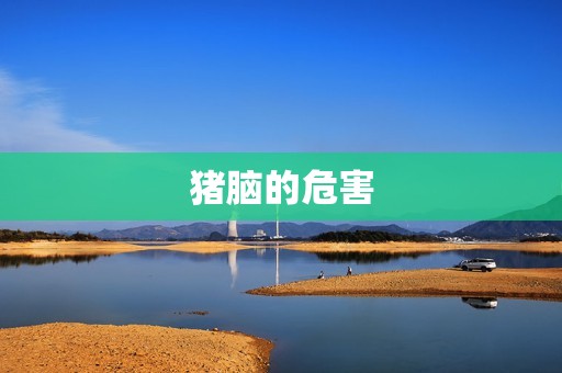 猪脑的危害