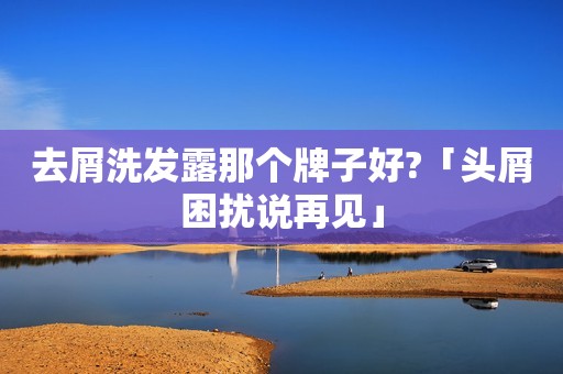 去屑洗发露那个牌子好?「头屑困扰说再见」