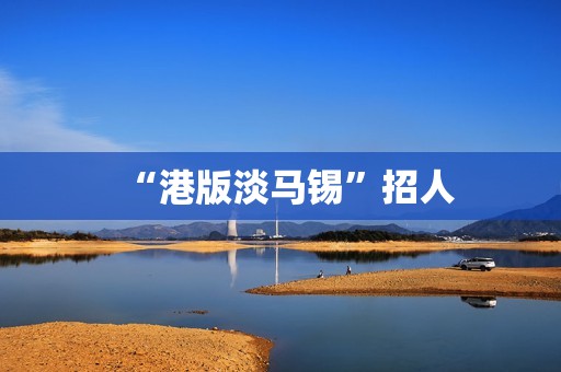 “港版淡马锡”招人