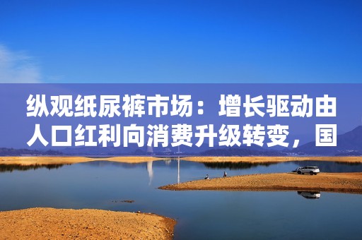 纵观纸尿裤市场：增长驱动由人口红利向消费升级转变，国产品牌强势突围
