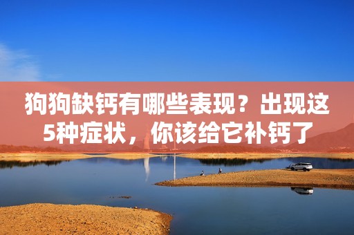 狗狗缺钙有哪些表现？出现这5种症状，你该给它补钙了