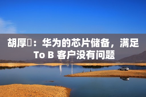 胡厚崑：华为的芯片储备，满足 To B 客户没有问题