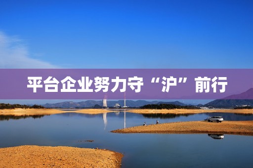 平台企业努力守“沪”前行