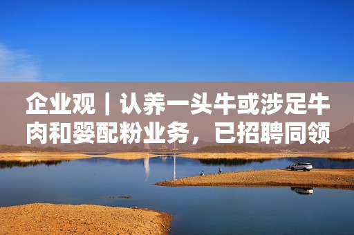 企业观｜认养一头牛或涉足牛肉和婴配粉业务，已招聘同领域研发、销售多岗位