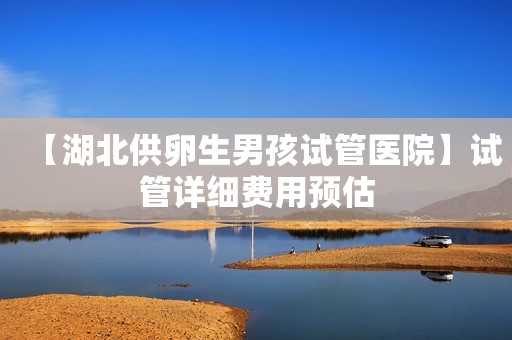 【湖北供卵生男孩试管医院】试管详细费用预估