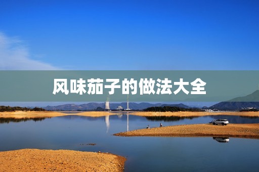 风味茄子的做法大全