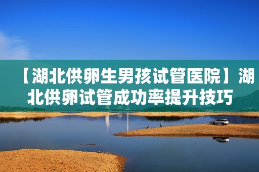 【湖北供卵生男孩试管医院】湖北供卵试管成功率提升技巧