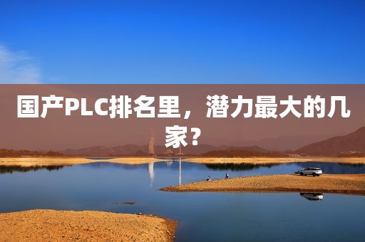 国产PLC排名里，潜力最大的几家？