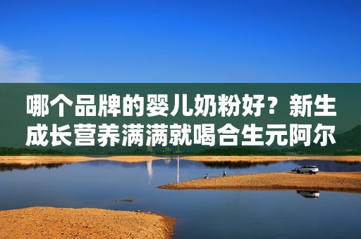 哪个品牌的婴儿奶粉好？新生成长营养满满就喝合生元阿尔法星奶粉