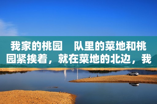 我家的桃园    队里的菜地和桃园紧挨着，就在菜地的北边，我家的桃园就在我家菜地的正北边，有二十几棵大桃树。春天里，桃花开了，一大片一大片粉红色的桃花，一眼看不到头，芬芳满地。蜜蜂嗡嗡地唱着只有它们自己才能听得懂的歌，不停地飞来飞去，不辞辛苦地辛苦采着蜜。我们小孩子在桃花地里跑来跑去，连头发上都沾满了桃花瓣儿，或者直接摘个花瓣插在头发上，自己觉得自己都要比桃花美丽的呀。那真是天真烂漫的好日子。最让我高兴的是，我家地里有一棵五月鲜桃树，就是熟得早，红得早，吃起来又脆又甜，还离核的一个品种。剩下的都