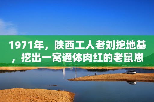 1971年，陕西工人老刘挖地基，挖出一窝通体肉红的老鼠崽儿。他本想抡起铁锹，将这害人的东西一锅端掉，可看到它们刚刚出生，眼睛都未睁开，竟突然下不去手了。思虑再三，老刘用铁锹将这些鼠崽子，铲到了附近的野地里：“你们还是自生自灭吧！”  送走了老鼠，老刘心满意足，回过头准备继续挖基地。可就在这时，他看到土里不知何时，突然多出一根白色的物体！  老刘心里咯噔一下：“这不会是来偷吃鼠崽的白蛇吧？”他用铁锹轻轻一扒拉，发现这东西身体非常僵硬，凑近仔细一瞧，原来是两节乳白色的棍子！  老刘长舒一口气，俯身捡