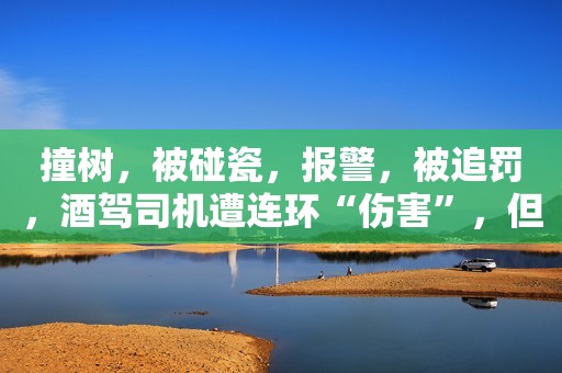 撞树，被碰瓷，报警，被追罚，酒驾司机遭连环“伤害”，但这不是最惨
