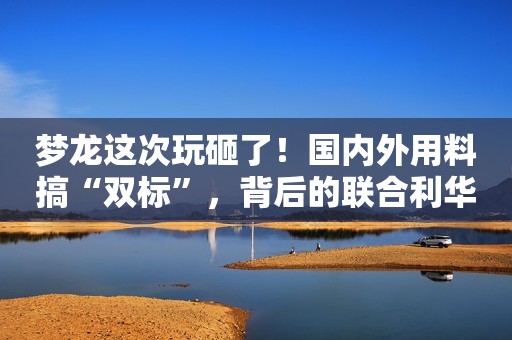 梦龙这次玩砸了！国内外用料搞“双标”，背后的联合利华更不简单