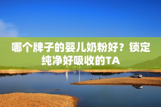哪个牌子的婴儿奶粉好？锁定纯净好吸收的TA