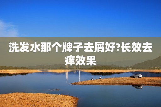 洗发水那个牌子去屑好?长效去痒效果