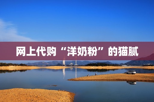 网上代购“洋奶粉”的猫腻