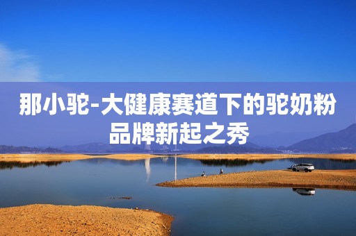 那小驼-大健康赛道下的驼奶粉品牌新起之秀