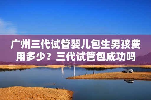 广州三代试管婴儿包生男孩费用多少？三代试管包成功吗